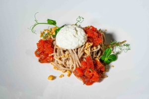 SOBA FREDDO