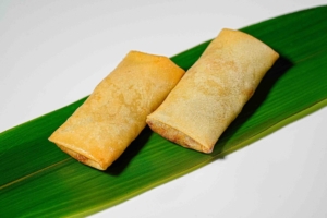 INVOLTINI PRIMAVERA
